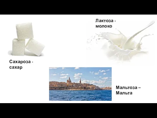 Сахароза - сахар Лактоза - молоко Мальтоза – Мальта
