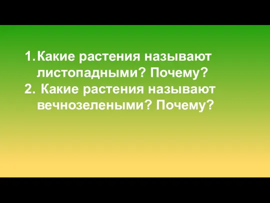 Какие растения называют листопадными? Почему? Какие растения называют вечнозелеными? Почему?