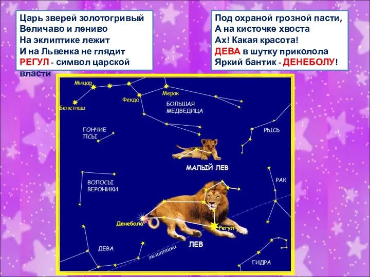 Царь зверей золотогривый Величаво и лениво На эклиптике лежит И