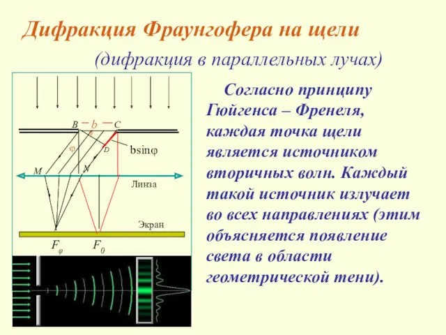 Согласно принципу Гюйгенса – Френеля, каждая точка щели является источником