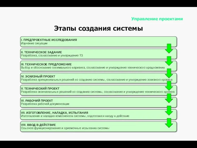 Управление проектами Этапы создания системы