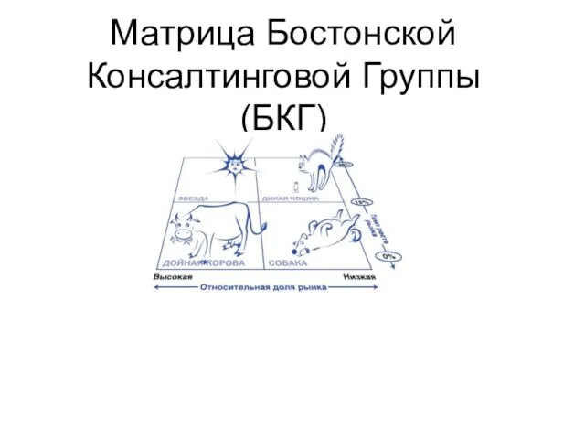 Матрица Бостонской консалтинговой группы