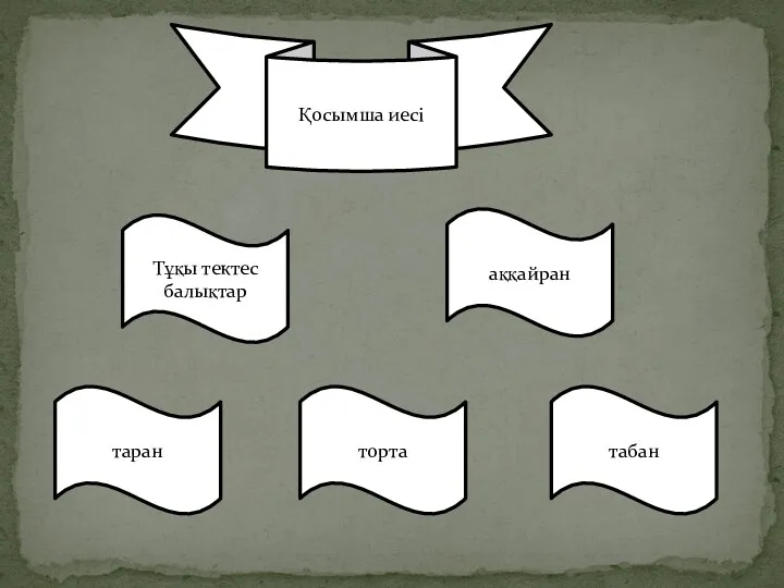 Қосымша иесі Тұқы тектес балықтар аққайран табан торта таран