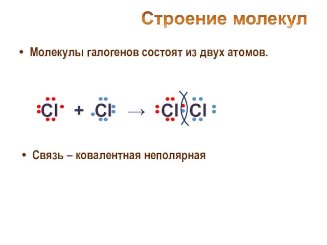 Молекулы галогенов состоят из двух атомов. Связь – ковалентная неполярная