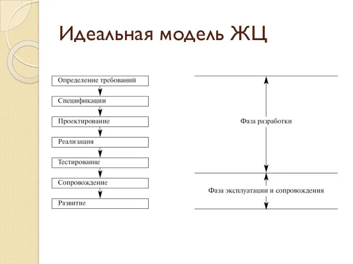 Идеальная модель ЖЦ