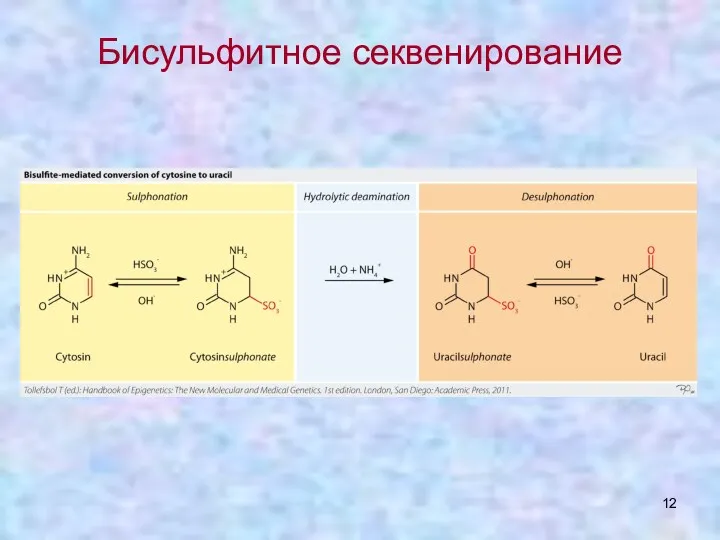 Бисульфитное секвенирование