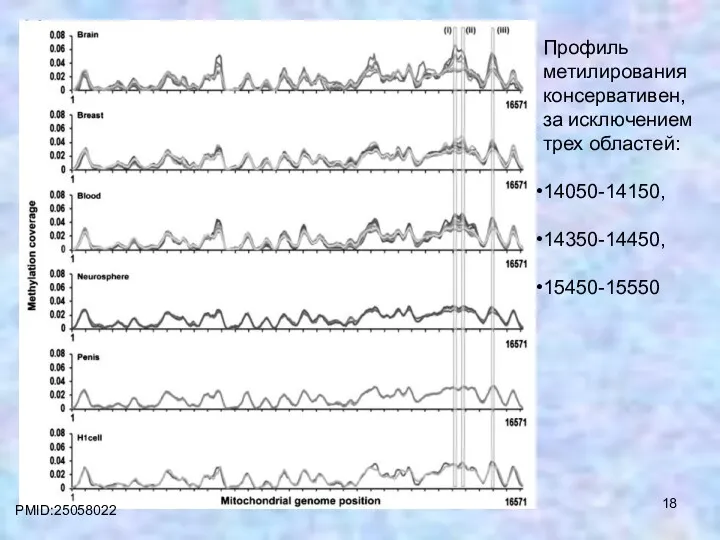 PMID:25058022 Профиль метилирования консервативен, за исключением трех областей: 14050-14150, 14350-14450, 15450-15550