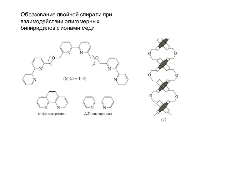 Образование двойной спирали при взаимодействии олигомерных бипиридилов с ионами меди