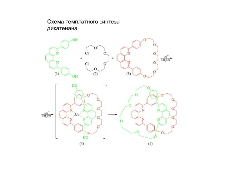 Схема темплатного синтеза дикатенана