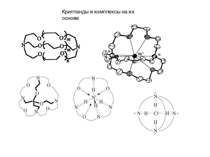 Криптанды и комплексы на их основе