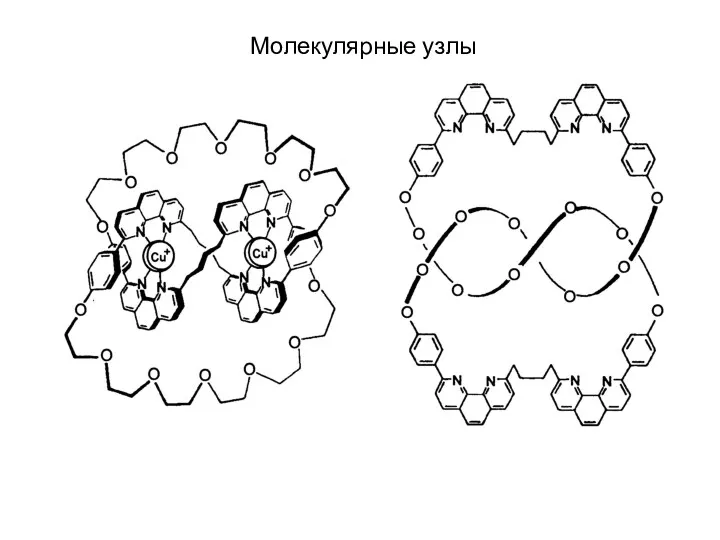 Молекулярные узлы