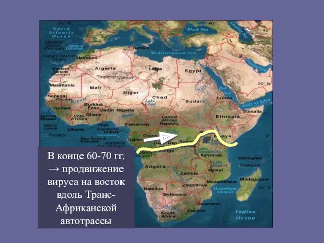 В конце 60-70 гг. → продвижение вируса на восток вдоль Транс-Африканской автотрассы