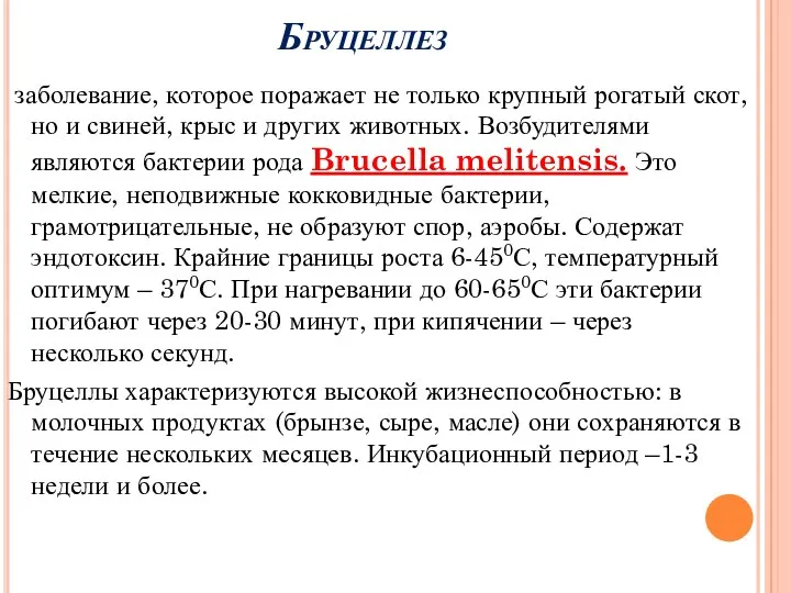 Бруцеллез заболевание, которое поражает не только крупный рогатый скот, но