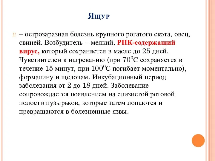 Ящур – острозаразная болезнь крупного рогатого скота, овец, свиней. Возбудитель