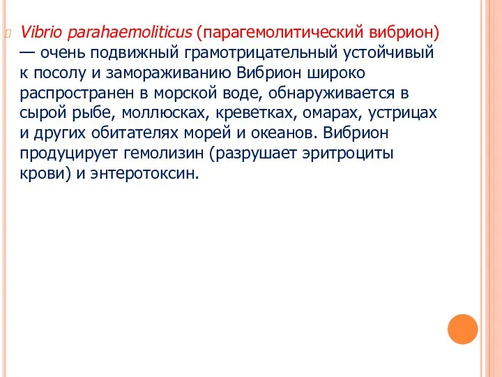 Vibrio parahaemoliticus (парагемолитический вибрион) — очень подвижный грамотрицательный устойчивый к