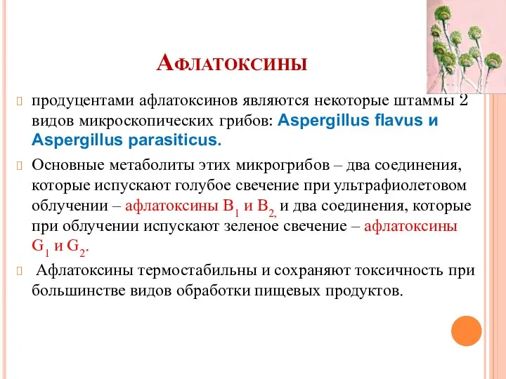 Афлатоксины продуцентами афлатоксинов являются некоторые штаммы 2 видов микроскопических грибов: