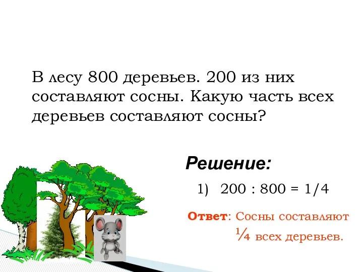 200 : 800 = 1/4 Ответ: Сосны составляют ¼ всех