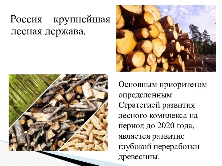Россия – крупнейшая лесная держава. Основным приоритетом определенным Стратегией развития лесного комплекса на