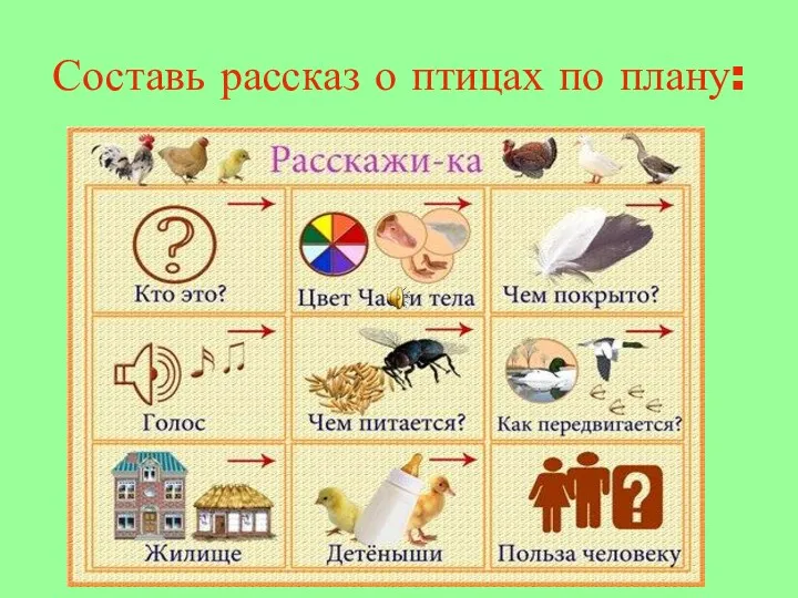 Составь рассказ о птицах по плану: