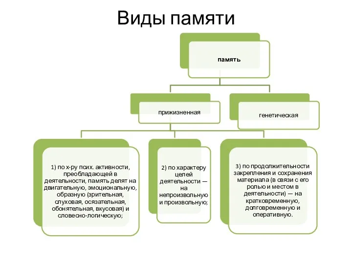 Виды памяти