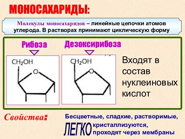 Рибоза Дезоксирибоза МОНОСАХАРИДЫ: Свойства: Бесцветные, сладкие, растворимые, кристаллизуются, проходят через