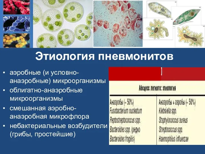 Этиология пневмонитов аэробные (и условно-анаэробные) микроорганизмы облигатно-анаэробные микроорганизмы смешанная аэробно-анаэробная микрофлора небактериальные возбудители (грибы, простейшие)