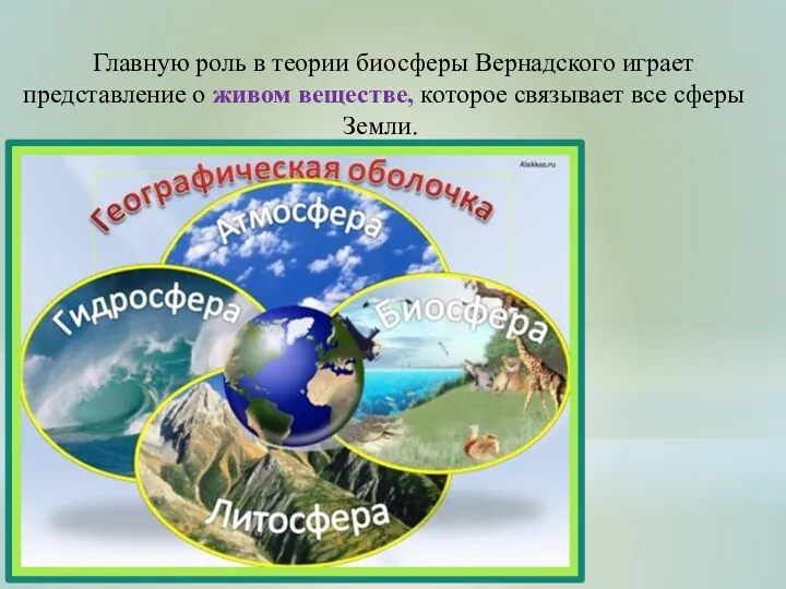Главную роль в теории биосферы Вернадского играет представление о живом веществе, которое связывает все сферы Земли.