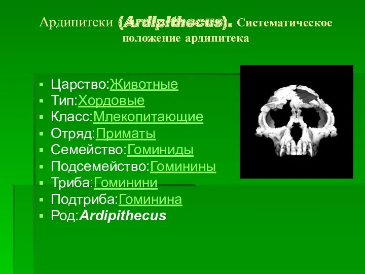 Ардипитеки (Ardipithecus). Систематическое положение ардипитека Царство:Животные Тип:Хордовые Класс:Млекопитающие Отряд:Приматы Семейство:Гоминиды Подсемейство:Гоминины Триба:Гоминини Подтриба:Гоминина Род:Ardipithecus