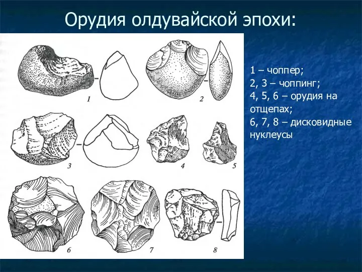 Орудия олдувайской эпохи: 1 – чоппер; 2, 3 – чоппинг;