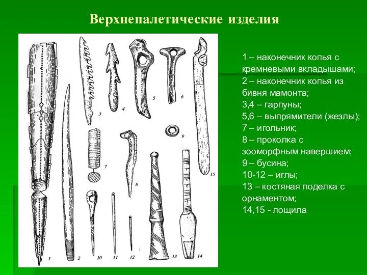 Верхнепалетические изделия 1 – наконечник копья с кремневыми вкладышами; 2