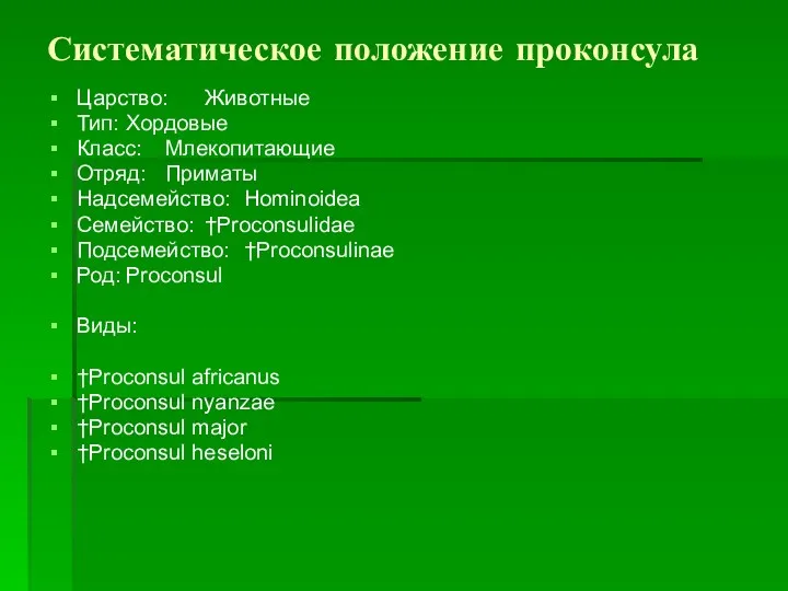 Систематическое положение проконсула Царство: Животные Тип: Хордовые Класс: Млекопитающие Отряд: