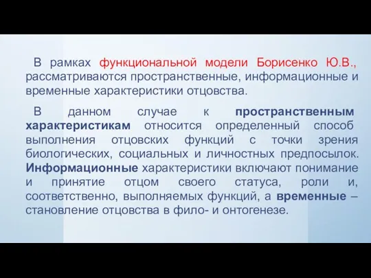 В рамках функциональной модели Борисенко Ю.В., рассматриваются пространственные, информационные и