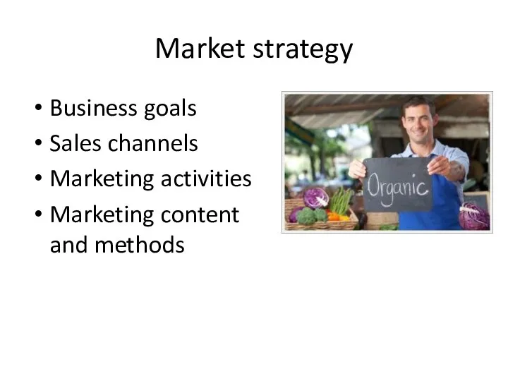 Market strategy Business goals Sales channels Marketing activities Marketing content and methods
