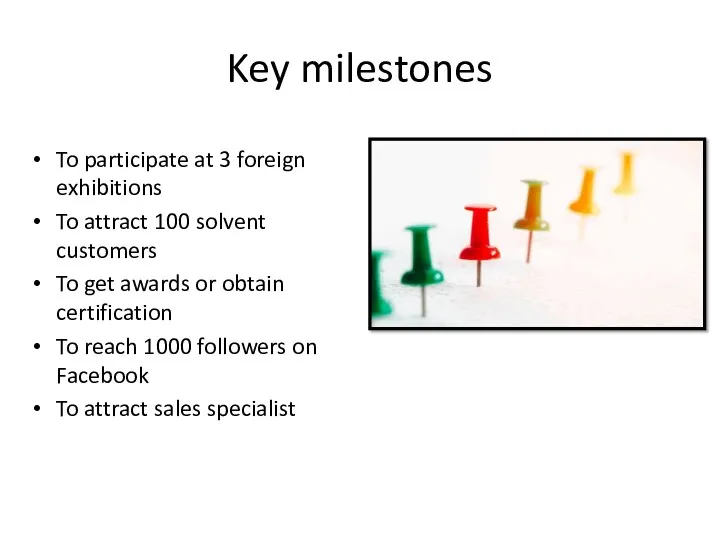 Key milestones To participate at 3 foreign exhibitions To attract 100 solvent customers
