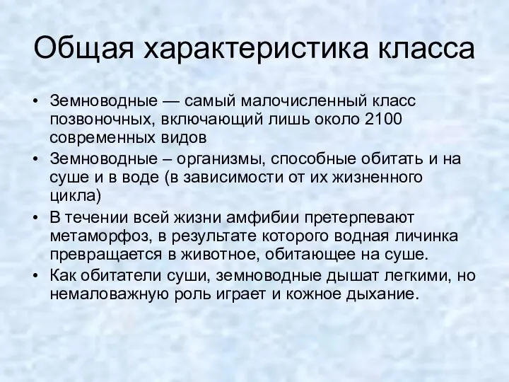 Общая характеристика класса Земноводные — самый малочисленный класс позвоночных, включающий лишь около 2100