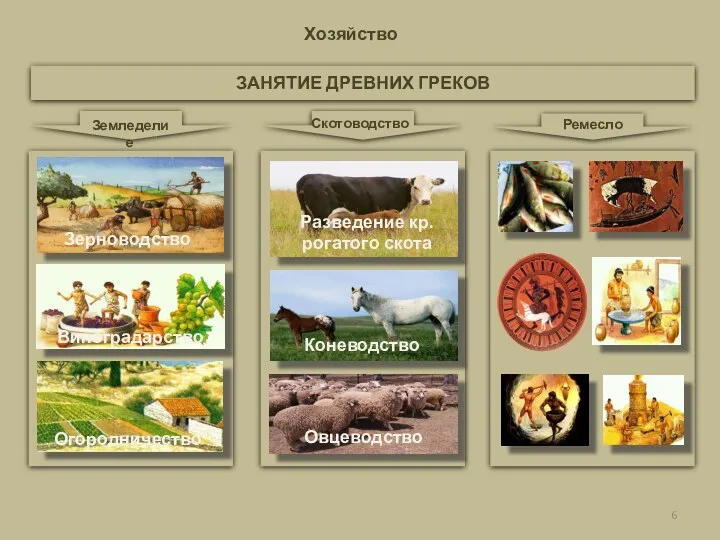 Хозяйство ЗАНЯТИЕ ДРЕВНИХ ГРЕКОВ Земледелие Скотоводство Ремесло Зерноводство Виноградарство Огородничество Разведение кр.рогатого скота Коневодство Овцеводство