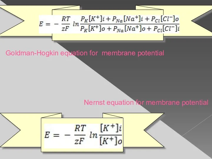 Goldman-Hogkin equation for membrane potential Nernst equation for membrane potential