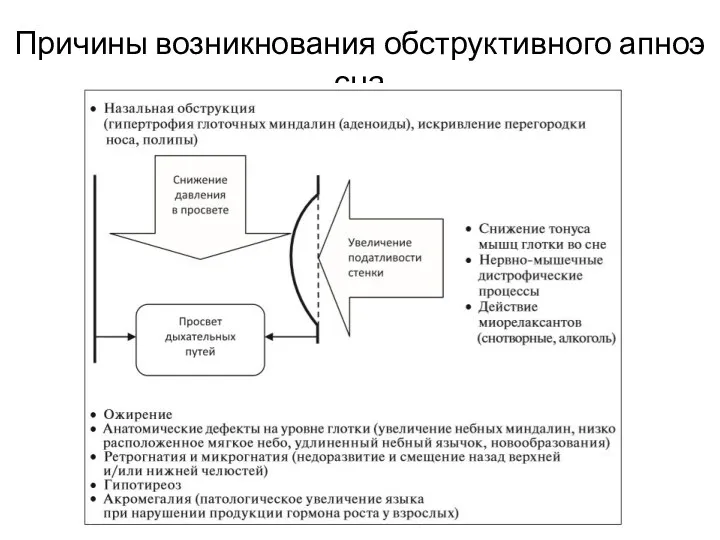 Причины возникнования обструктивного апноэ сна