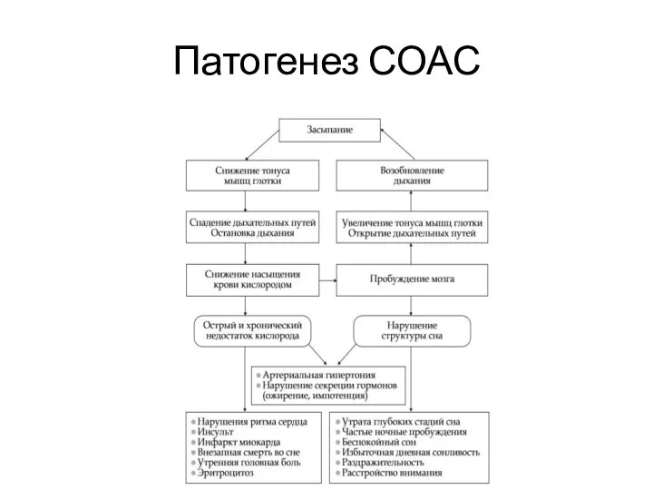 Патогенез СОАС