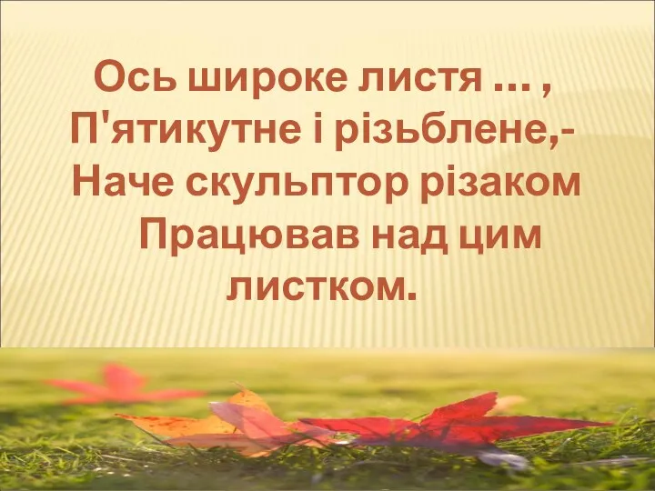 Ось широке листя … , П'ятикутне і різьблене,- Наче скульптор різаком Працював над цим листком.