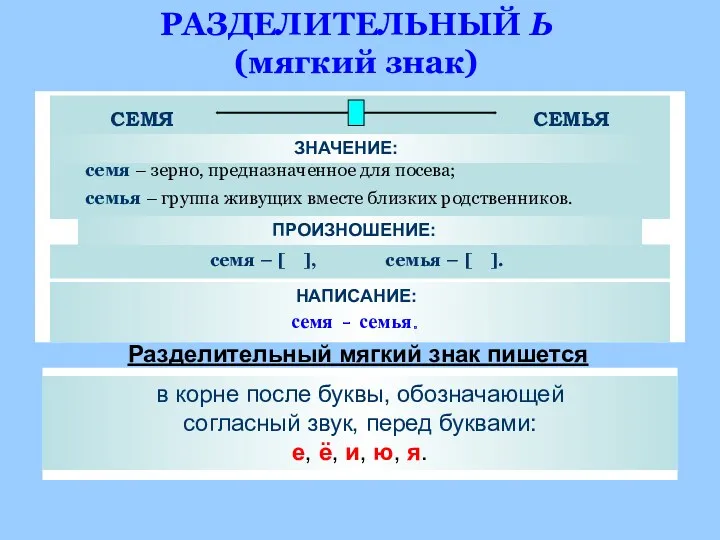 РАЗДЕЛИТЕЛЬНЫЙ Ь (мягкий знак) ЗНАЧЕНИЕ: семя – зерно, предназначенное для