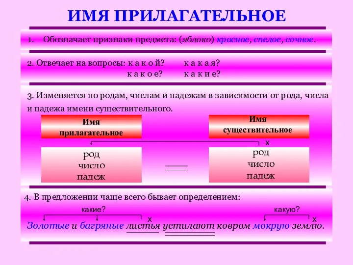 ИМЯ ПРИЛАГАТЕЛЬНОЕ Обозначает признаки предмета: (яблоко) красное, спелое, сочное. 2.