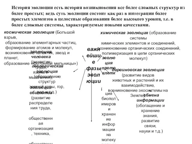 История эволюции есть история возникновения все более сложных структур из