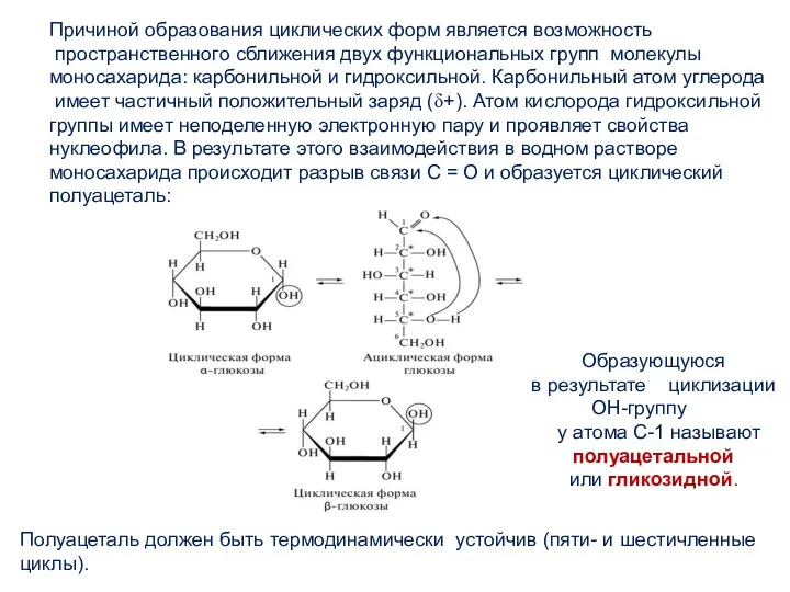 Причиной образования циклических форм является возможность пространственного сближения двух функциональных