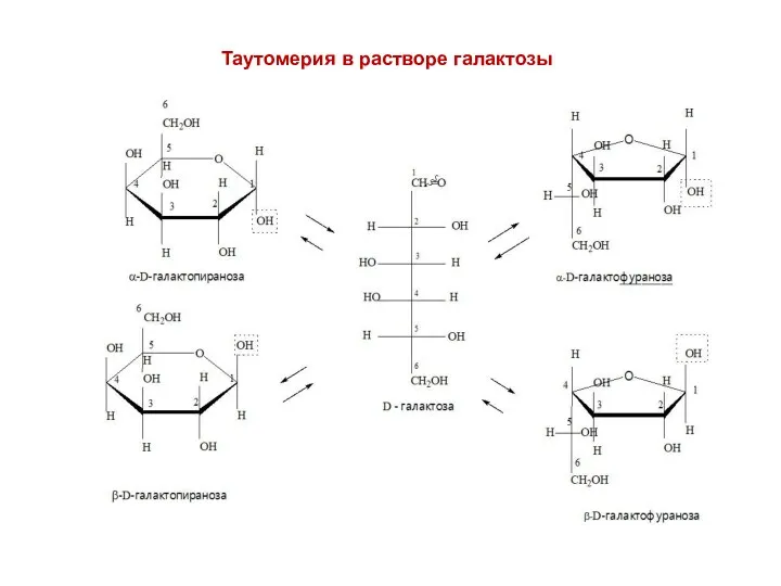 Таутомерия в растворе галактозы