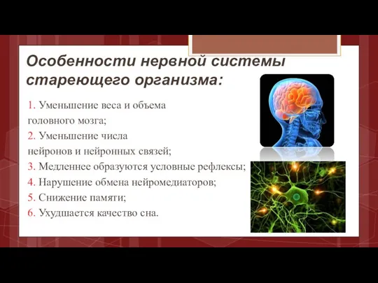 1. Уменьшение веса и объема головного мозга; 2. Уменьшение числа нейронов и нейронных