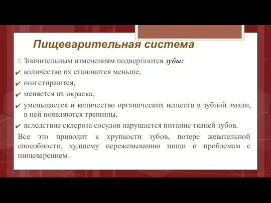 Пищеварительная система Значительным изменениям подвергаются зубы: количество их становится меньше, они стираются, меняется