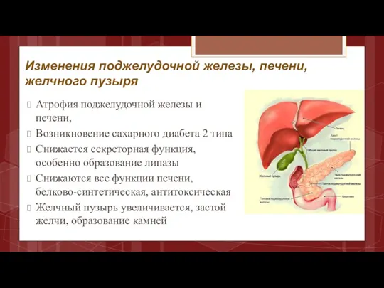 Изменения поджелудочной железы, печени, желчного пузыря Атрофия поджелудочной железы и
