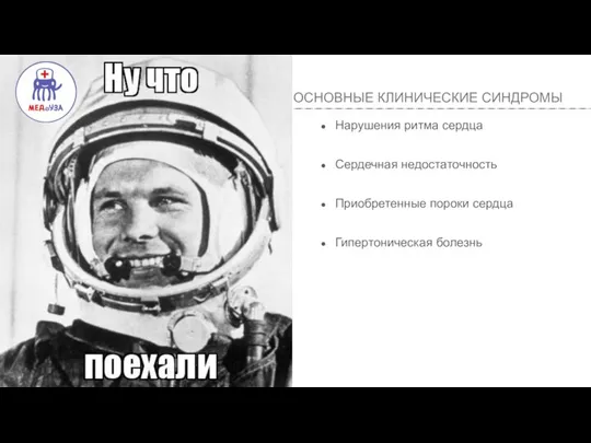 ОСНОВНЫЕ КЛИНИЧЕСКИЕ СИНДРОМЫ Нарушения ритма сердца Сердечная недостаточность Приобретенные пороки сердца Гипертоническая болезнь