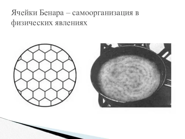 Ячейки Бенара – самоорганизация в физических явлениях